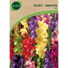 Mieczyk MIX 30 szt. GEOLIA