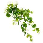 Wisząca begonia 70 cm x 17 cm HANMAR
