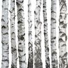 Panel kuchenny szklany SCANDI 60 x 60 cm ALFA-CER