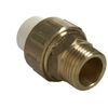 Śrubunek GZ 1/2" USTM