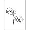 Obraz na metalu MONSTERA LEAF 48 x 67.5 cm