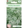 Gipsówka wiechowata BIAŁA nasiona tradycyjne 0.2 g W. LEGUTKO
