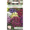Aster chiński karłowy PINOCCHIO nasiona tradycyjne 0.5 g W. LEGUTKO