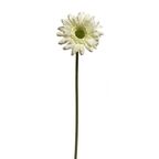 Kwiat GERBERA 60 cm