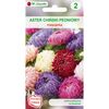 Aster chiński peoniowy MIESZANKA nasiona tradycyjne 1 g W. LEGUTKO