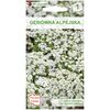 Gęsiówka alpejska BIAŁA nasiona tradycyjne 0.2 g W. LEGUTKO