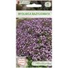 Mydlnica bazyliowata RÓŻOWA W. LEGUTKO