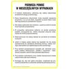 Znak informacyjny INSTRUKCJA POMOCY W RAZIE NIESZCZĘŚLIWEGO WYPADKU wys. 35 cm