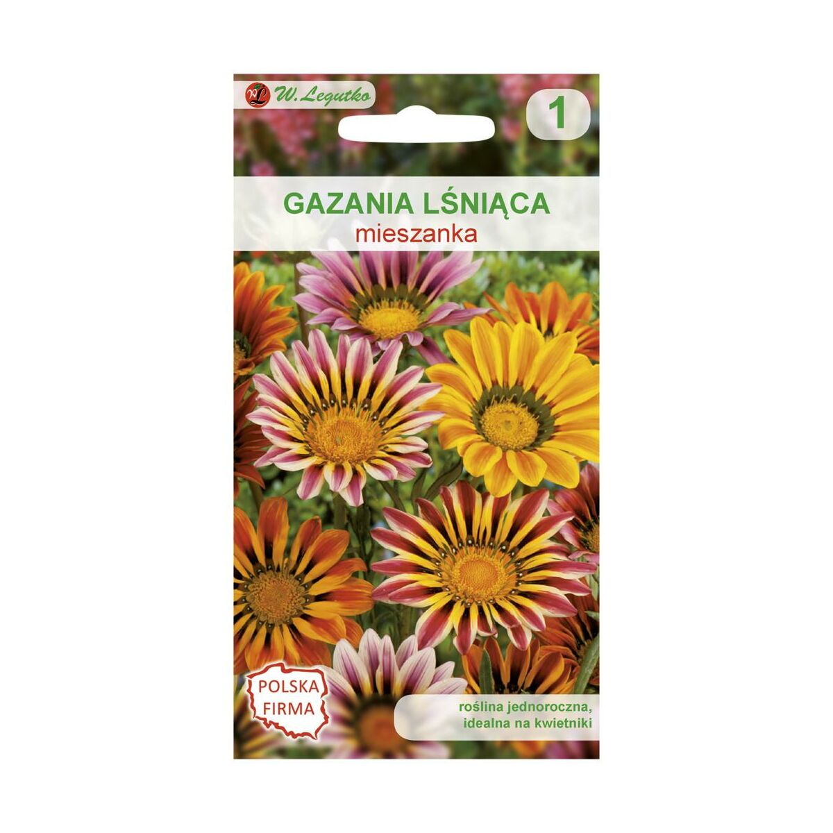 Gazania lśniąca mieszanka nasiona tradycyjne W.Legutko