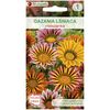 Nasiona kwiatów MIESZANKA Gazania lśniąca W. LEGUTKO