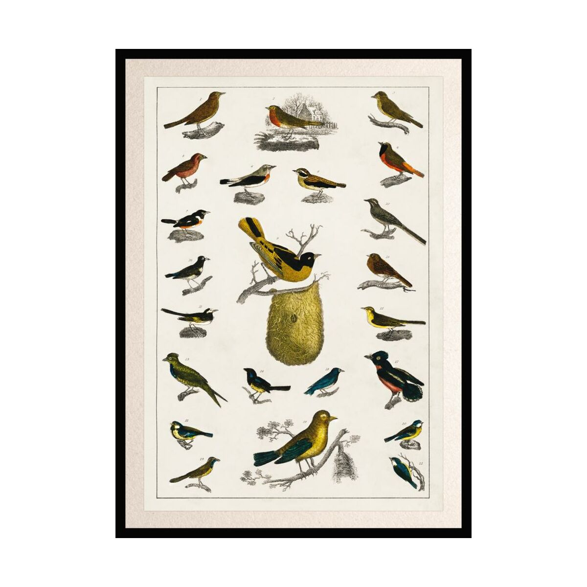Obraz Ptaki 70 X 100 Cm Obrazy Kanwy W Atrakcyjnej Cenie W Sklepach Leroy Merlin