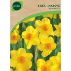 Narcyz botaniczny MARTINETTE 6szt. GEOLIA