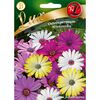 Nasiona kwiatów MIESZANKA Osteospermum W. LEGUTKO