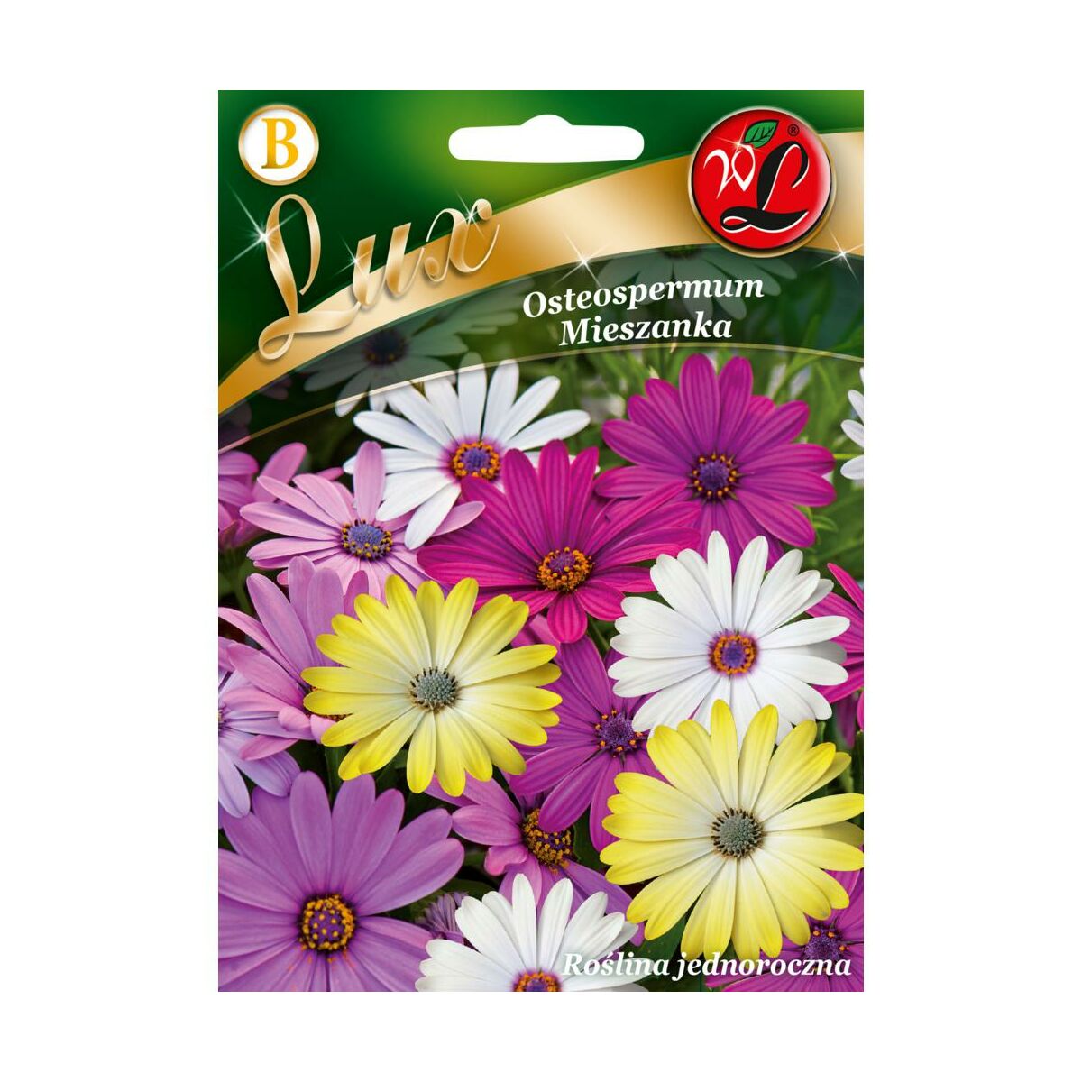 Osteospermum mieszanka nasiona tradycyjne W.Legutko