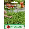 Rukola (Rokietta siewna) microgreens W. LEGUTKO