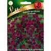 Petunia ogrodowa KASKADA nasiona tradycyjne 0.02 g W. LEGUTKO