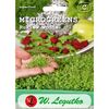 Rukiew wodna microgreens W. LEGUTKO