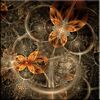 Dekor LUCIDO FRACTAL ALFA-CER