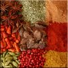 Dekor ALFA-CER LUCIDO SPICES