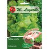 Sałata głowiasta krucha KRÓLOWA LATA W. LEGUTKO