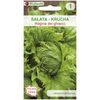 Sałata głowiasta krucha REGINA DEI GHIACCI nasiona tradycyjne 0.5 g W. LEGUTKO