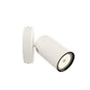 Plafoniera PONGEE PHILIPS