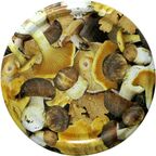 Zakrętki do słoików Z1066GRZ śr. 6,6 cm BIOWIN