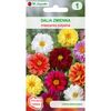 Dalia zmienna karłowa półpełna UNWINS W. LEGUTKO