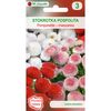 Nasiona kwiatów MIESZANKA Stokrotka pospolita Pomponette W. LEGUTKO