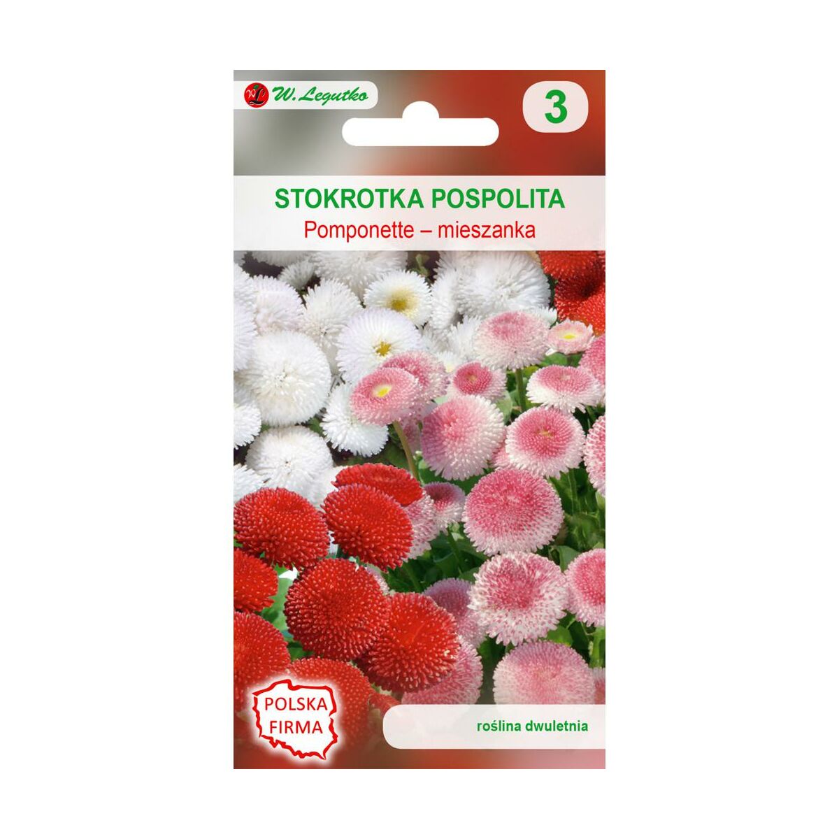 Stokrotka pospolita Pomponette nasiona tradycyjne W.Legutko