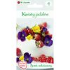 Bratek wielkokwiatowy MIESZANKA nasiona tradycyjne 0.5 g W. LEGUTKO