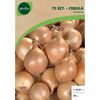 Cebulki warzyw STURON Cebula 75szt. GEOLIA
