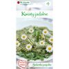 Nasiona kwiatów BIAŁA Stokrotka pospolita W. LEGUTKO