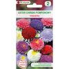 Aster chiński pomponowy MIESZANKA nasiona tradycyjne 1 g W. LEGUTKO