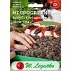 Bazylia właściwa DARK OPAL microgreens W. LEGUTKO