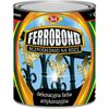 Farba antykorozyjna BEZPOŚREDNIO NA RDZĘ FERROBOND