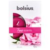 Podgrzewacz zapachowy TRUE SCENTS piwonia 6 szt. BOLSIUS