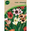 Sparaksis MIX 15 szt. GEOLIA