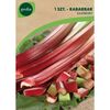 Rabarbar RASPBERRY 1 szt. cebulki warzyw GEOLIA