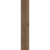 Gres szkliwiony RICHWOOD BROWN 20 X 120 MARCONI