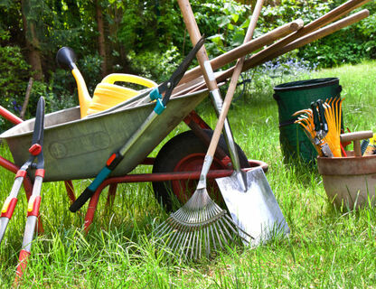 Podstawowe narzędzia ogrodnicze, czyli niezbędnik dobrego ogrodnika