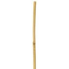 Tyczka bambusowa 120 cm x 14 mm RIM
