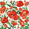 Serwetki Flanders Poppy 33 x 33 cm 20 szt.