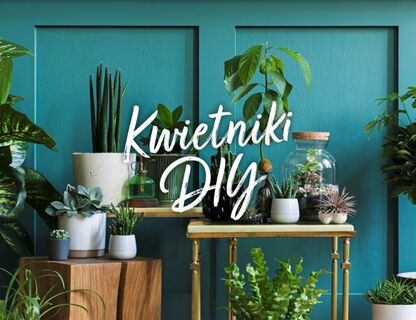 Oryginalne kwietniki do domu