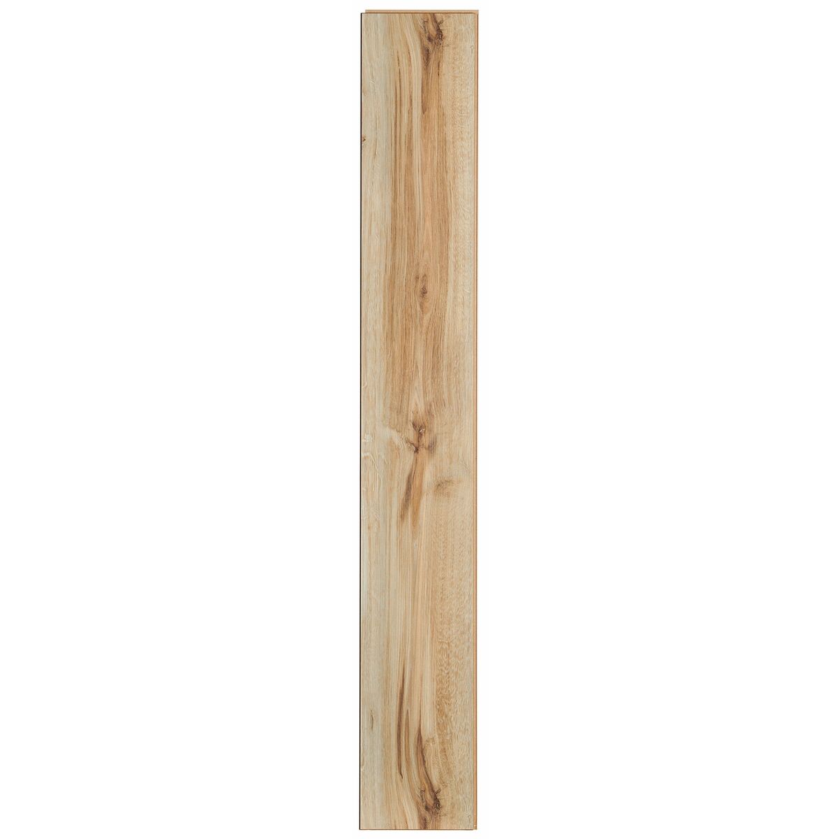 Panele podłogowe laminowane Dąb Picard AC4 8 mm Promo Flooring