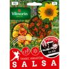 Mieszanka kwiatów SALSA VILMORIN