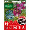 Nasiona kwiatów RUMBA Mieszanka kwiatów VILMORIN