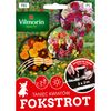 Mieszanka kwiatów FOKSTROT VILMORIN