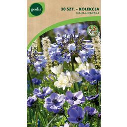 Ostróżka wyniosła Blue White 30szt. cebulki kwiatów Geolia