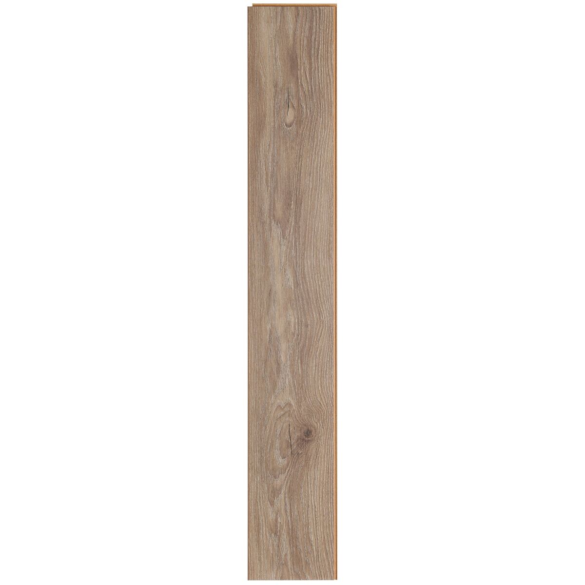 Panele podłogowe laminowane Dąb Mandisa AC6 12 mm